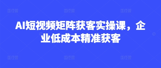 AI短视频矩阵获客实操课，企业低成本精准获客网赚项目-副业赚钱-互联网创业-资源整合一卡云创-专注知识分享-源码分享