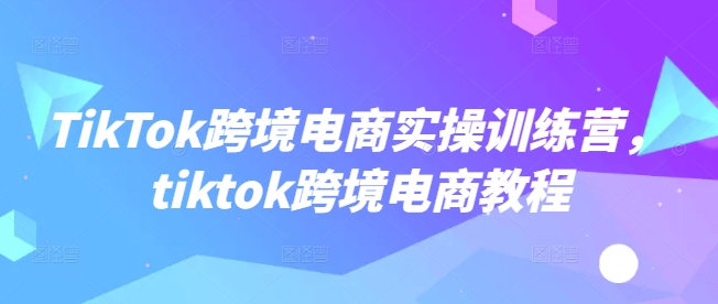 TikTok跨境电商实操训练营，tiktok跨境电商教程网赚项目-副业赚钱-互联网创业-资源整合一卡云创-专注知识分享-源码分享