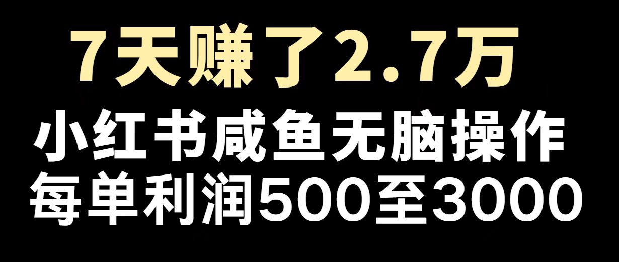 最赚钱项目之一，2025爆火，逆风翻盘！网赚项目-副业赚钱-互联网创业-资源整合一卡云创-专注知识分享-源码分享