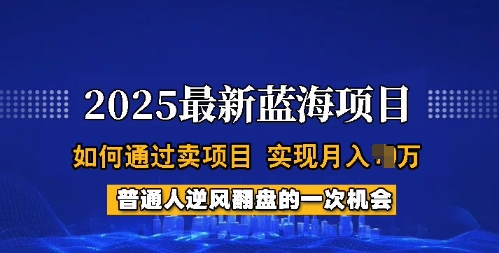 2025蓝海项目，普通人如何通过卖项目，实现月入过W，全过程【揭秘】网赚项目-副业赚钱-互联网创业-资源整合一卡云创-专注知识分享-源码分享