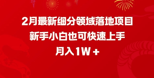 2月最新细分领域落地项目，新手小白也可快速上手，月入1W网赚项目-副业赚钱-互联网创业-资源整合一卡云创-专注知识分享-源码分享