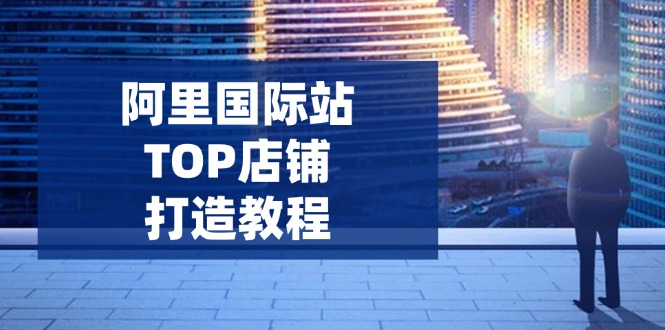 阿里国际站TOP店铺打造教程：涵盖平台到高阶，解决运营难题，提升询盘网赚项目-副业赚钱-互联网创业-资源整合一卡云创-专注知识分享-源码分享