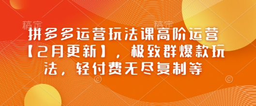 拼多多运营玩法课高阶运营【2月更新】，极致群爆款玩法，轻付费无尽复制等网赚项目-副业赚钱-互联网创业-资源整合一卡云创-专注知识分享-源码分享