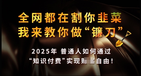 知识付费如何做到月入过W+，2025我来教你做“镰刀”【揭秘】网赚项目-副业赚钱-互联网创业-资源整合一卡云创-专注知识分享-源码分享