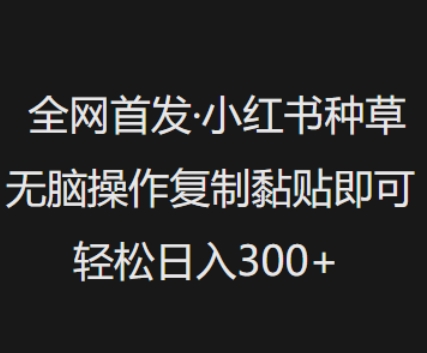 全网首发，小红书种草无脑操作，复制黏贴即可，轻松日入3张网赚项目-副业赚钱-互联网创业-资源整合一卡云创-专注知识分享-源码分享