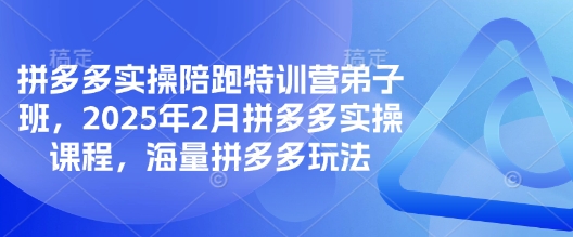 拼多多实操陪跑特训营弟子班，2025年2月拼多多实操课程，海量拼多多玩法网赚项目-副业赚钱-互联网创业-资源整合一卡云创-专注知识分享-源码分享