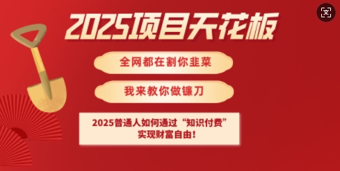 2025项目天花板普通人如何通过知识付费，实现财F自由【揭秘】网赚项目-副业赚钱-互联网创业-资源整合一卡云创-专注知识分享-源码分享